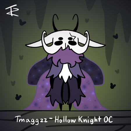 Hollow Knight OC