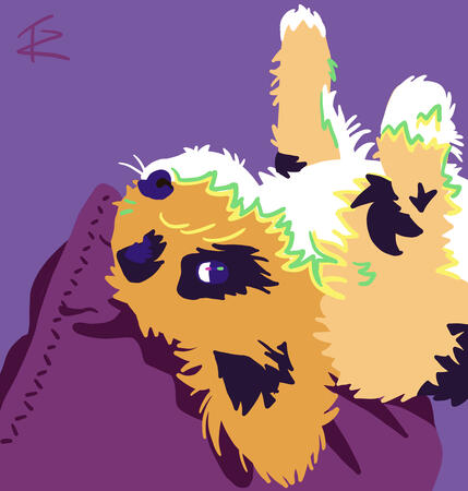 Snoop commission