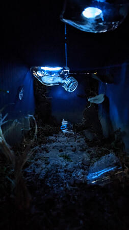 Mood box - "Still" by Fish in a Birdcage